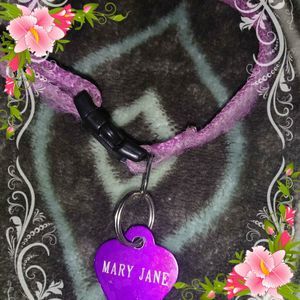 Meet your Posher, Betsy